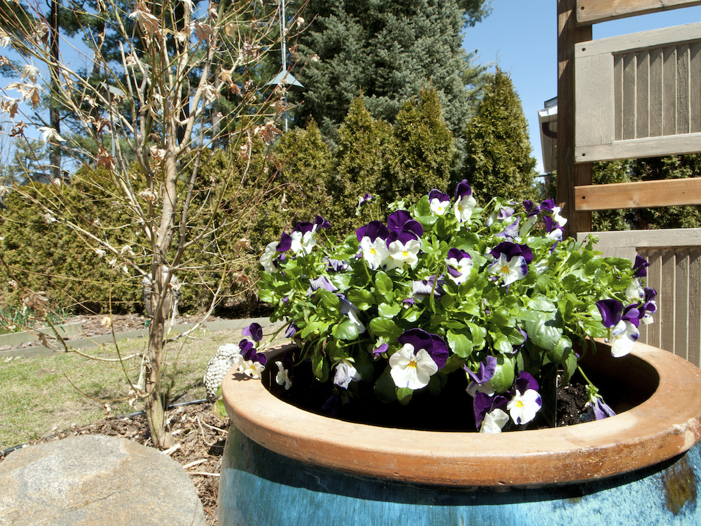 Community Spotlight Arlington Woods Ottawa 4 You